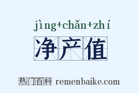 净产值是什么意思的图片